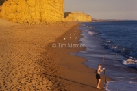 Beachcomber on Dorset beach.