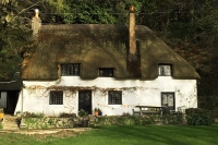 Medieval cottage.